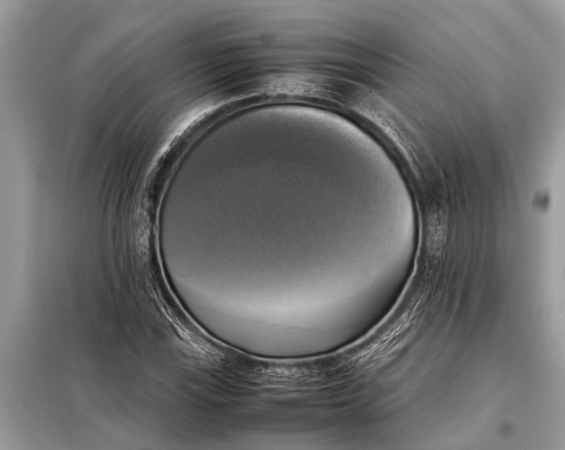 X0000098191115200805081041