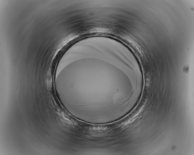 X0000098191117200805081041