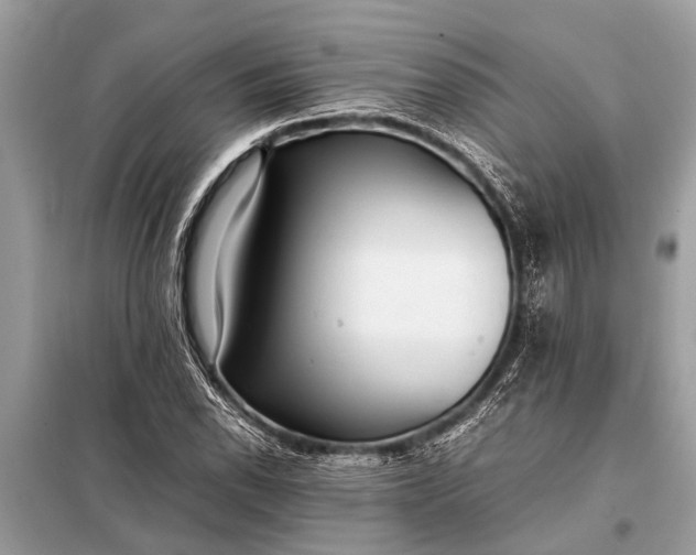X0000098191118200805081041
