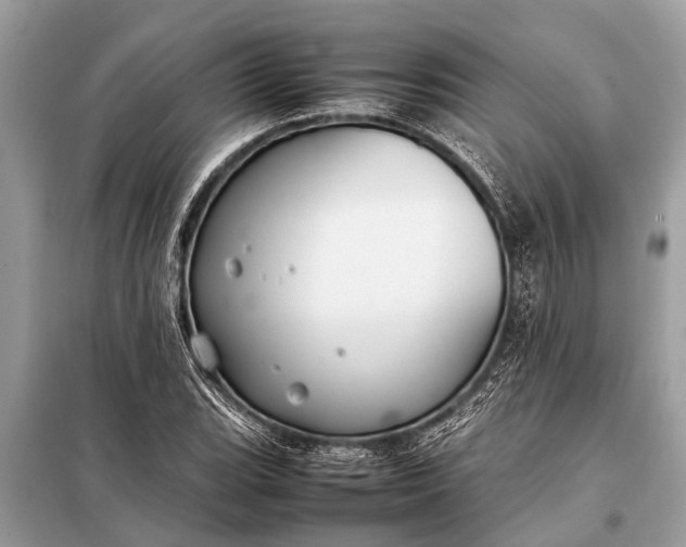 X0000098191119200805081041
