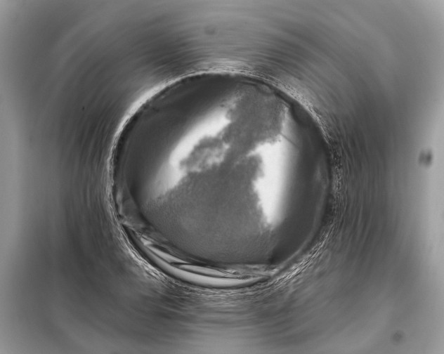 X0000098191120200805081041