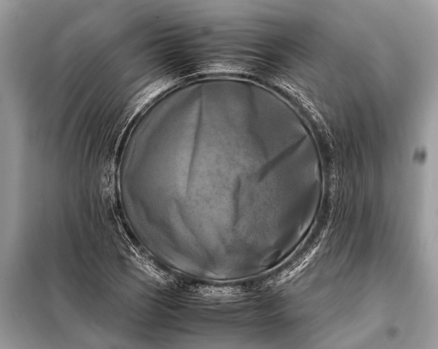 X0000098191121200805081041
