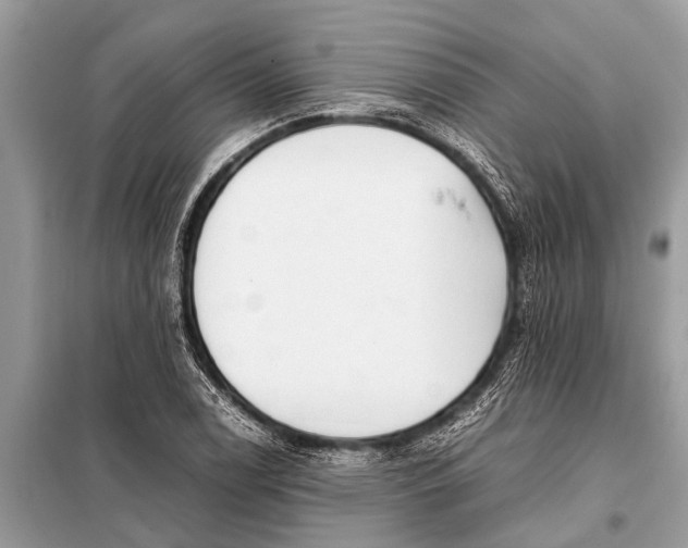 X0000098191122200805081041