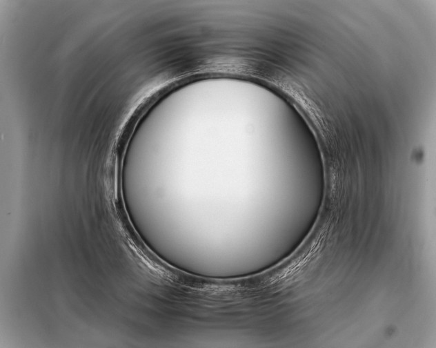 X0000098191123200805081041