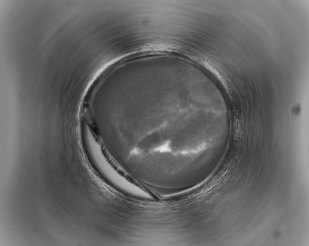 X0000098191124200805081041