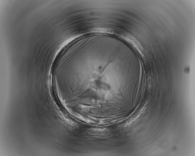 X0000098191125200805081041