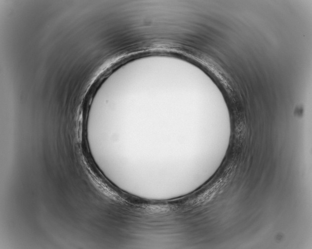 X0000098191126200805081041