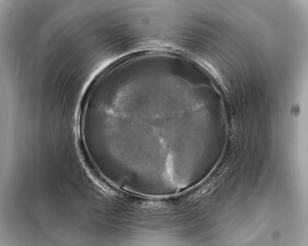 X0000098191128200805081041
