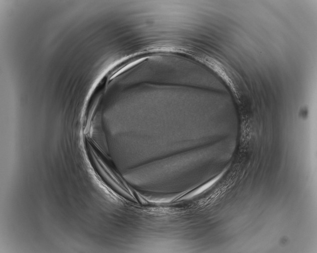 X0000098191132200805081041