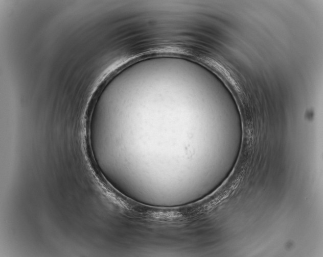 X0000098191133200805081041