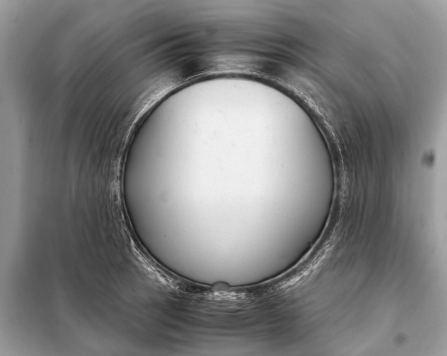X0000098191137200805081041