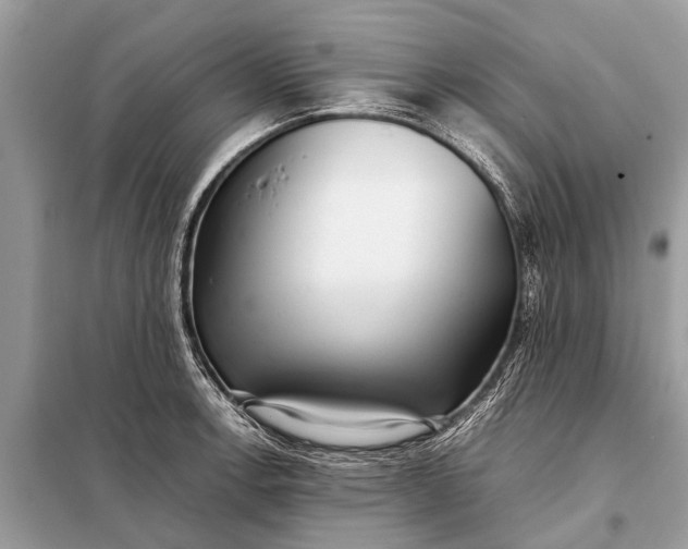 X0000098191138200805081041