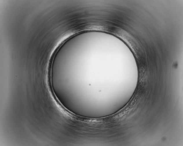 X0000098191139200805081041
