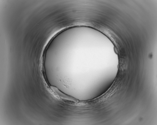 X0000098191140200805081041