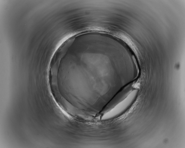X0000098191141200805081041