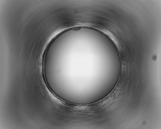 X0000098191143200805081041