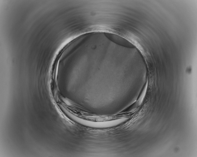 X0000098191144200805081041