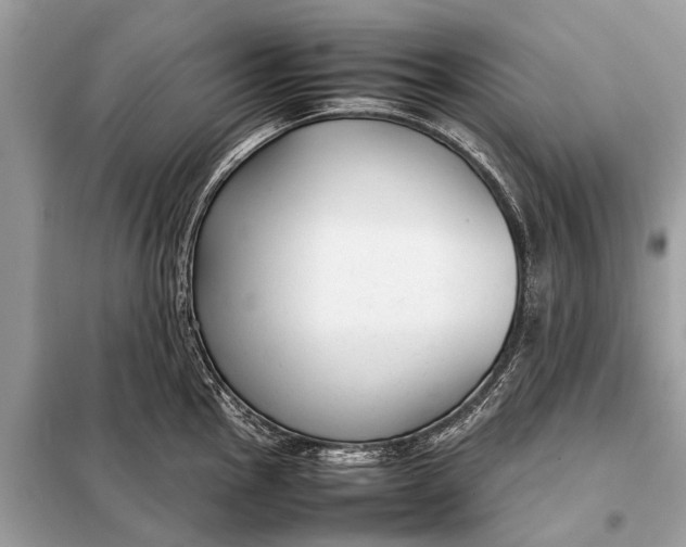 X0000098191145200805081041