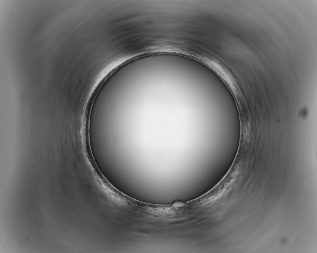 X0000098191149200805081042