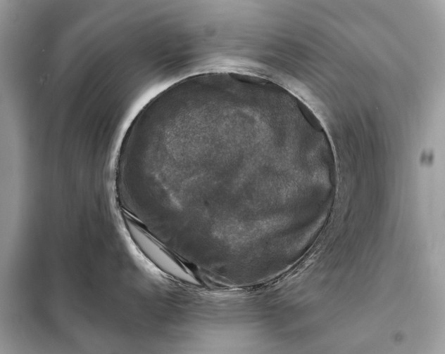 X0000098191152200805081042