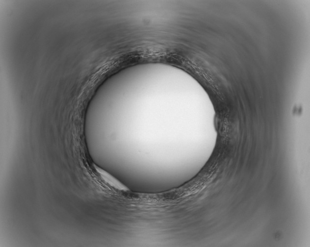X0000098191153200805081041
