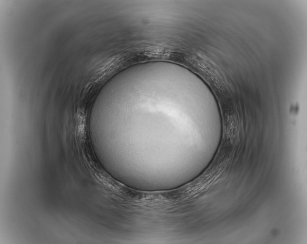 X0000098191154200805081041