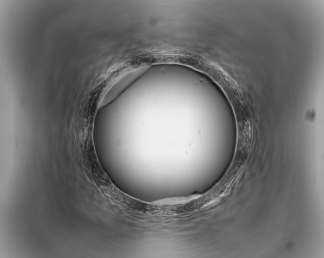 X0000098191157200805081041