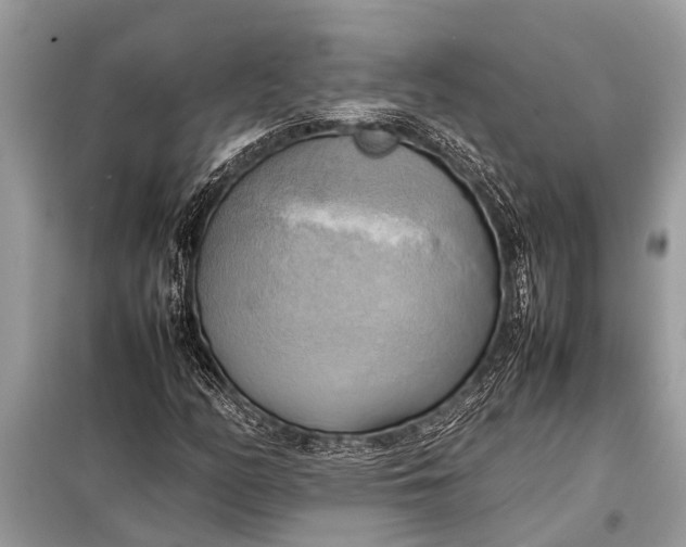 X0000098191158200805081041