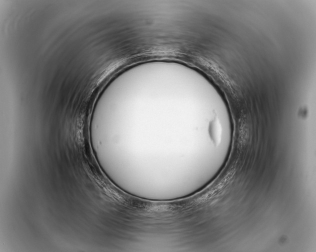 X0000098191162200805081041