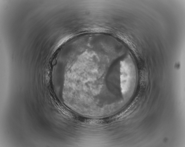 X0000098191163200805081041