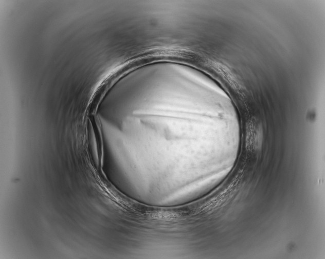 X0000098191164200805081041