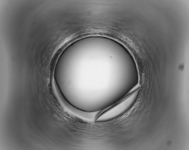 X0000098191165200805081041