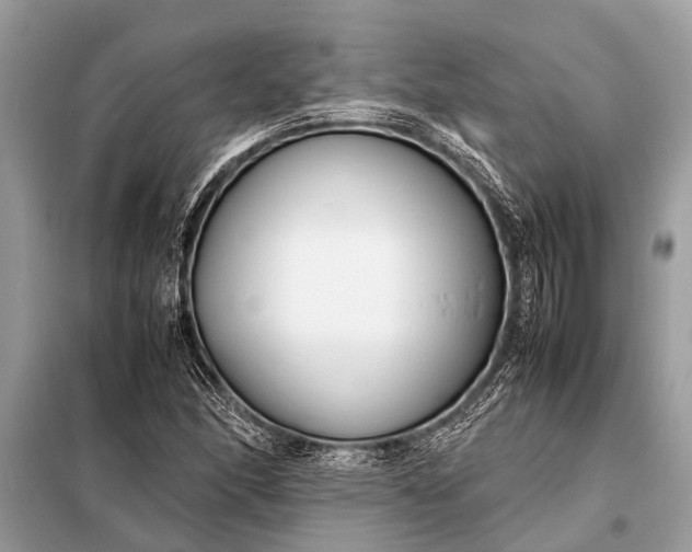 X0000098191166200805081041