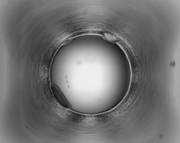 X0000098191169200805081041