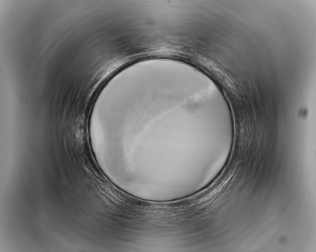 X0000098191170200805081041