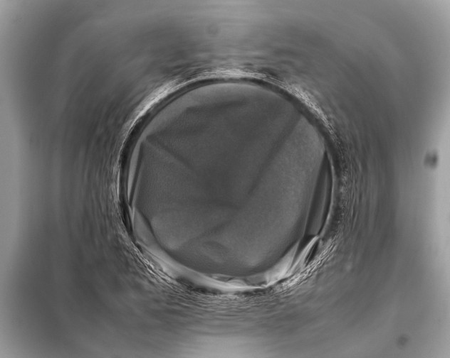X0000098191173200805081041