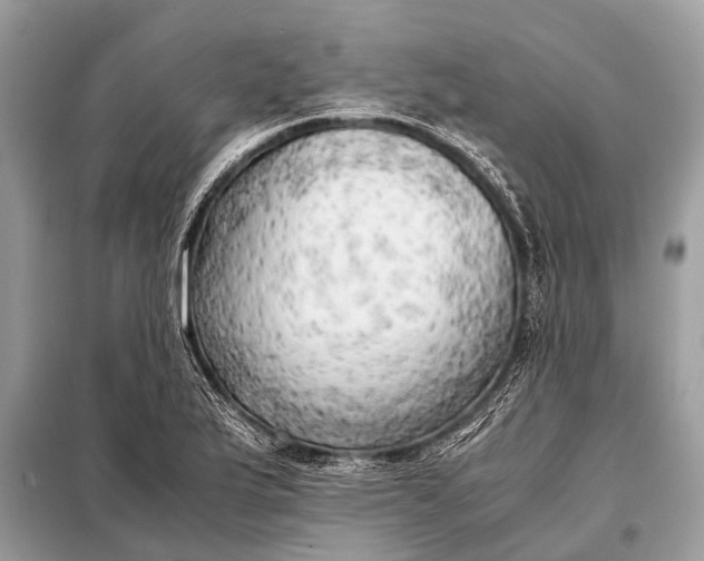 X0000098191175200805081041