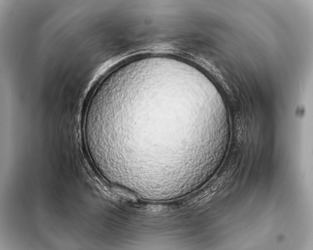 X0000098191176200805081041