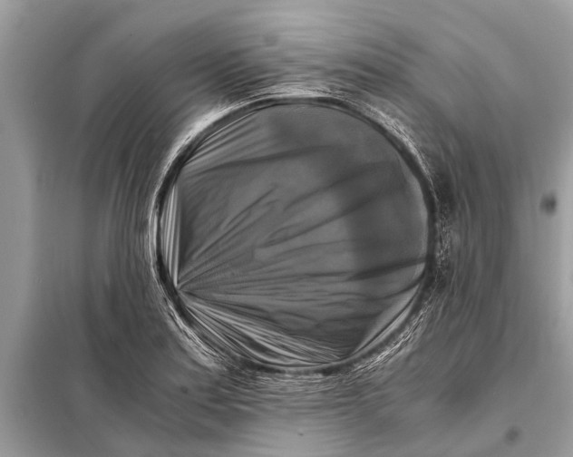 X0000098191179200805081041