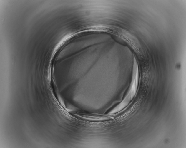 X0000098191180200805081041