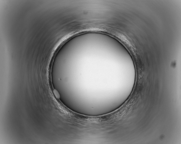 X0000098191181200805081041