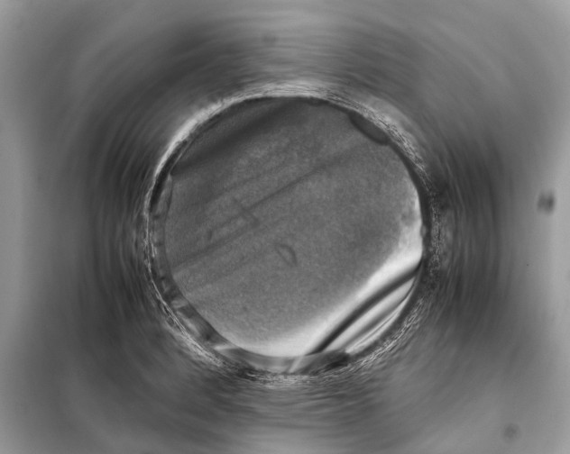 X0000098191184200805081040