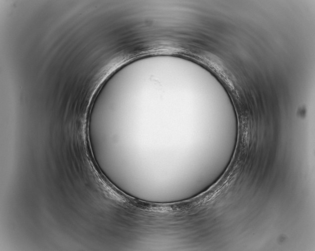 X0000098191186200805081040