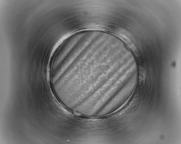 X0000098191188200805081040