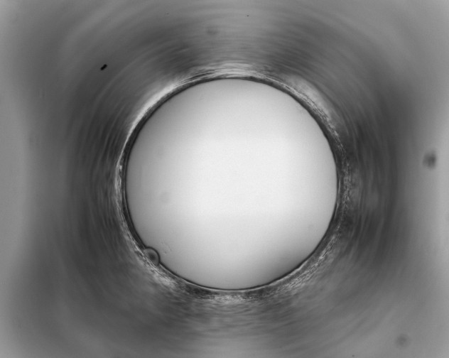 X0000098191190200805081040