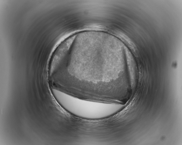X0000098191192200805081040