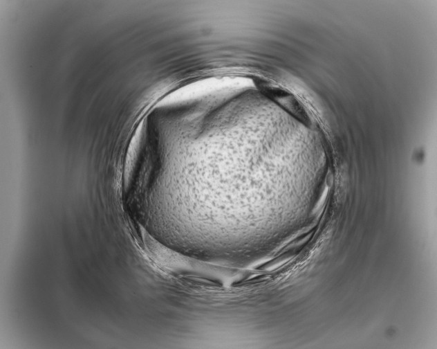 X0000098191193200805081040