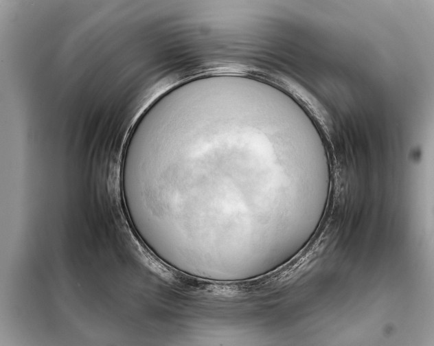 X0000098191194200805081040