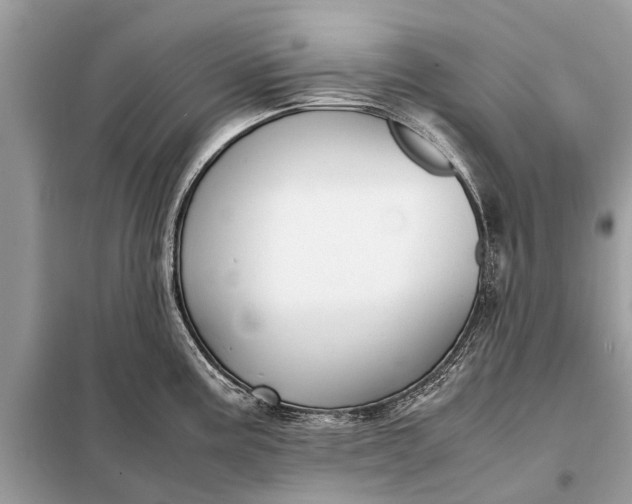 X0000098191195200805081040