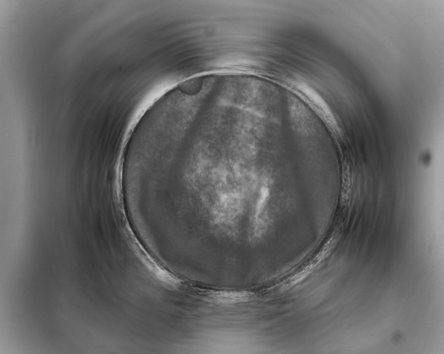 X0000098191196200805081040